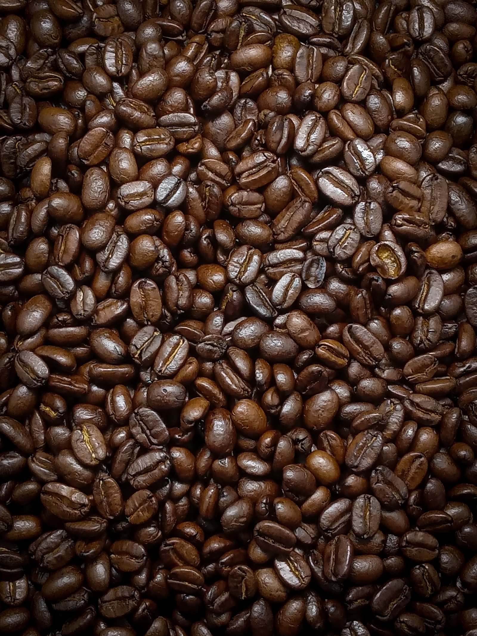 Coffee harvest