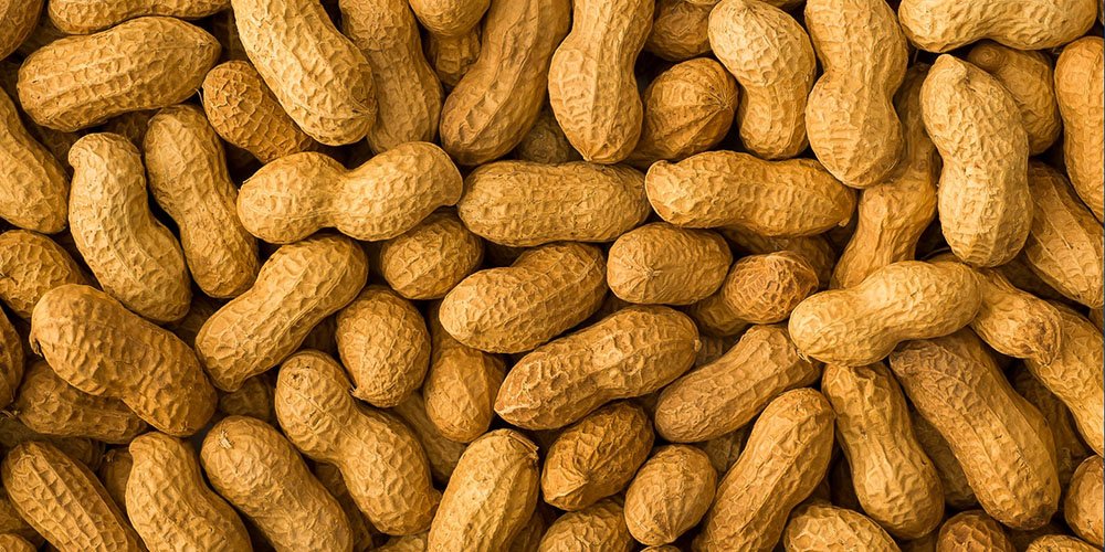 Peanut